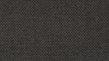 Carlyle Stone