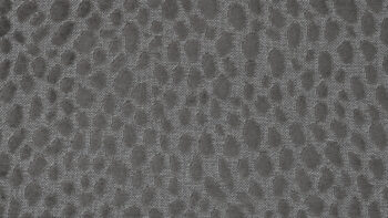 Cipriani Shiny Spruce