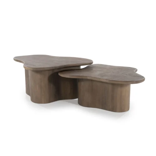 Organische Salontafel Fall Mangohout Set van 2 - Bruin